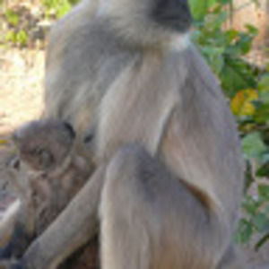 Meet your Posher, Mari paz